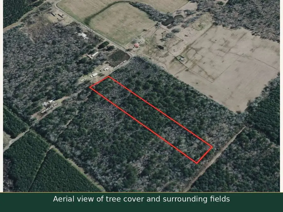 0 Israelite Road, Ringgold, LA 71068 - #3
