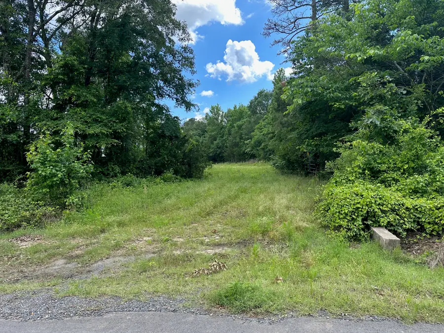 0 Johns Gin Road, Keithville, LA 71047 - #3