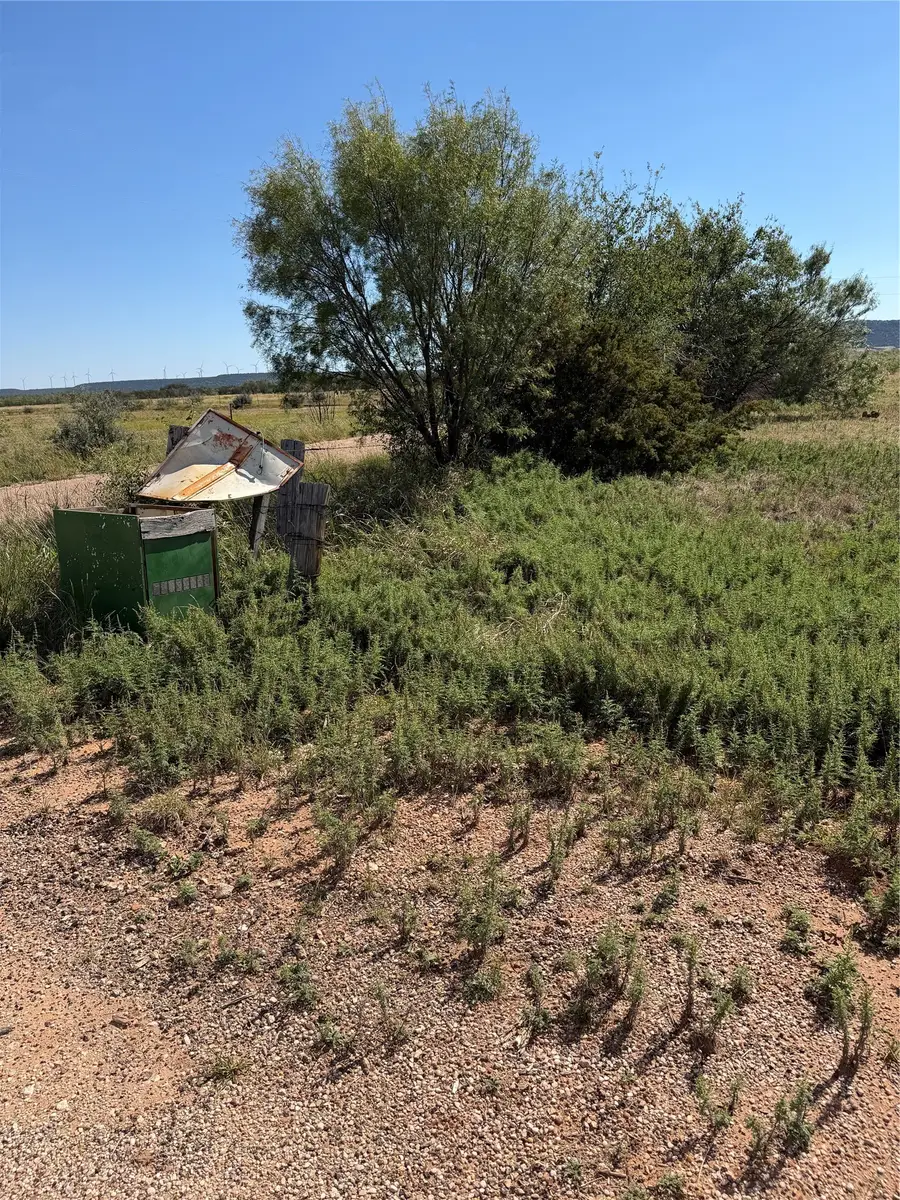 TBD 166.5 Acres County Road, Merkel, TX 79536 - #3