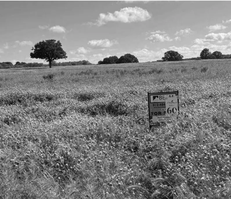 Lot 60 Buffalo Lane, Chico, TX 76431 - #2
