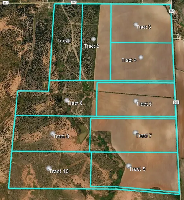 TBD Tract 2 County Road 205, Ovalo, TX 79541
