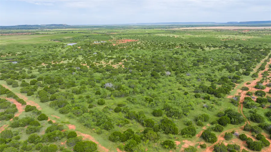 TBD Tract 2 County Road 205, Ovalo, TX 79541 - #3