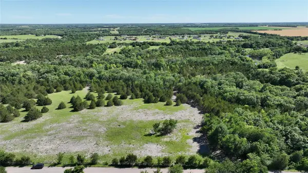 TBD Rochelle Cannon Road, Whitewright, TX 75491