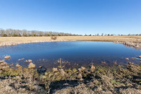 TBD Lot 8 Hwy 82, Clarksville, TX 75426