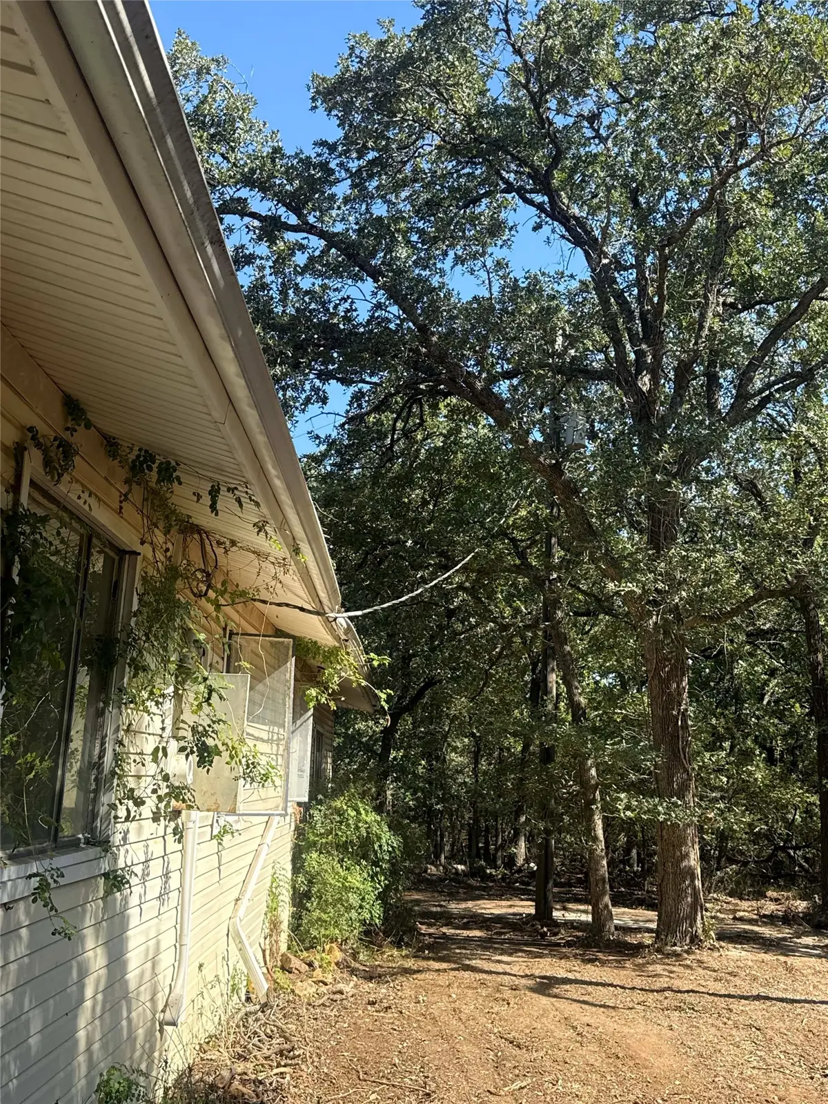 4428 County Road 1100, Grandview, TX 76050 - #1