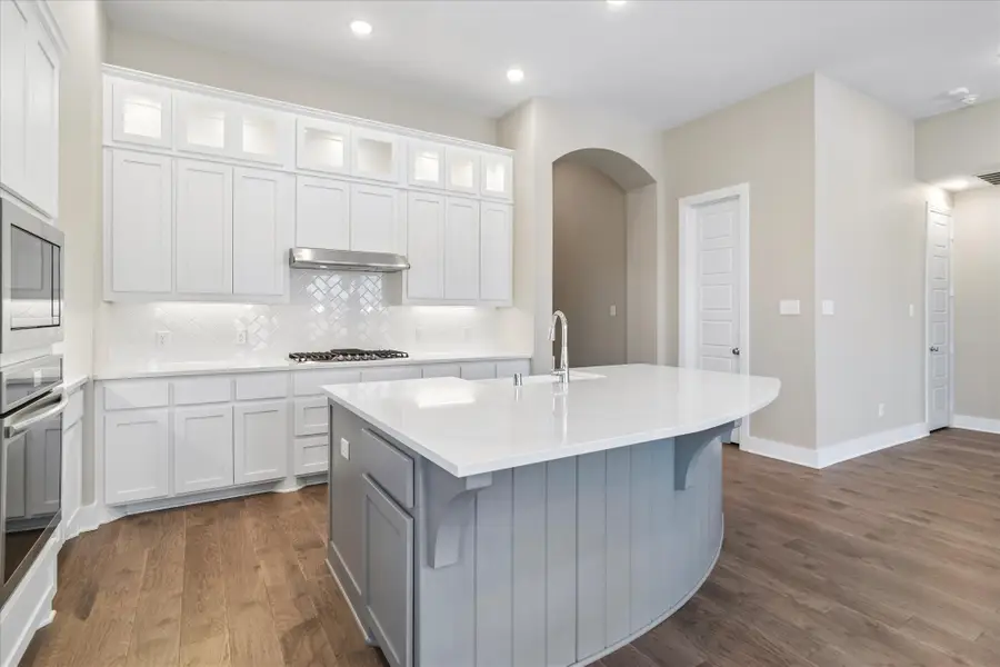 1704 White Snowberry Lane, Celina, TX 75078 - #3