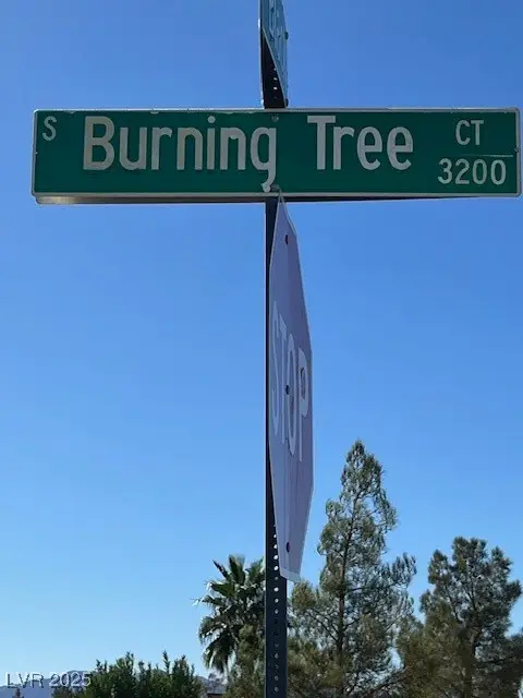 3161 Burning Tree Court, Pahrump, NV 89048 - Image #3