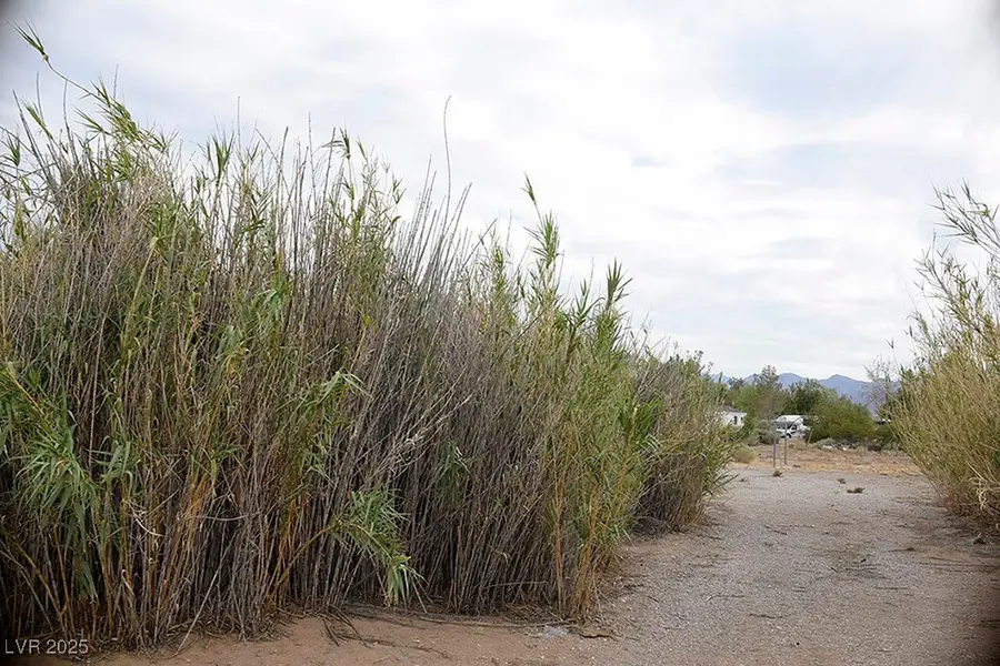 75 W Obsidian Avenue, Sandy Valley, NV 89019 - Image #2