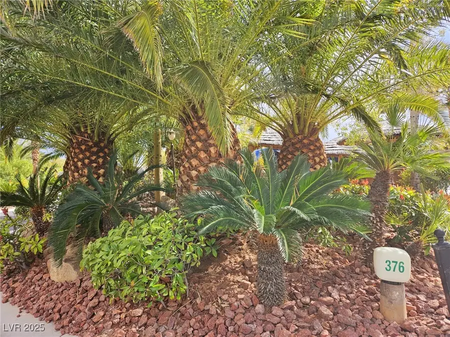 8175 Arville Street #376, Las Vegas, NV 89139 - Image #2