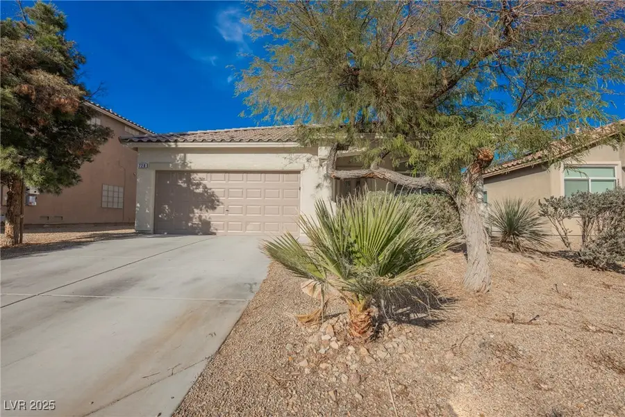 728 Brown Breeches Avenue, North Las Vegas, NV 89081 - Image #2