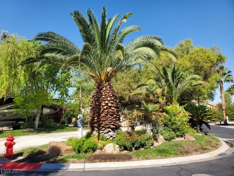 8175 Arville Street #117, Las Vegas, NV 89139 - #3