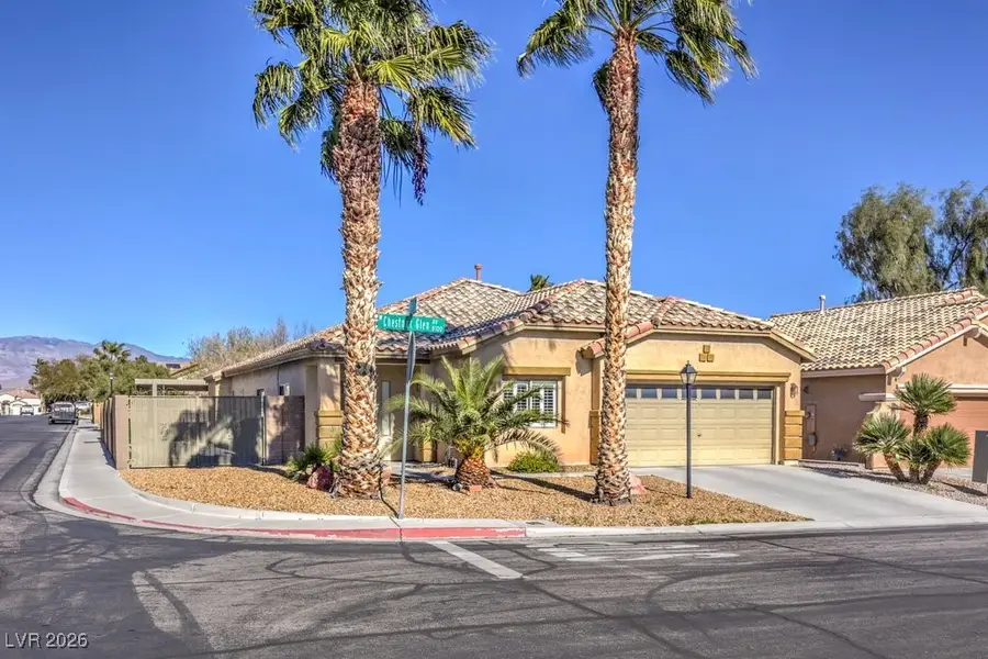 8128 Chestnut Glen Avenue, Las Vegas, NV 89131 - Image #3