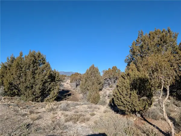 Ponderosa Pine, Pioche, NV 89043