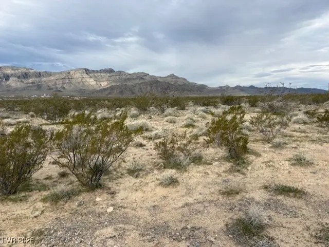 6850 N Blagg Road, Pahrump, NV 89060 - #2
