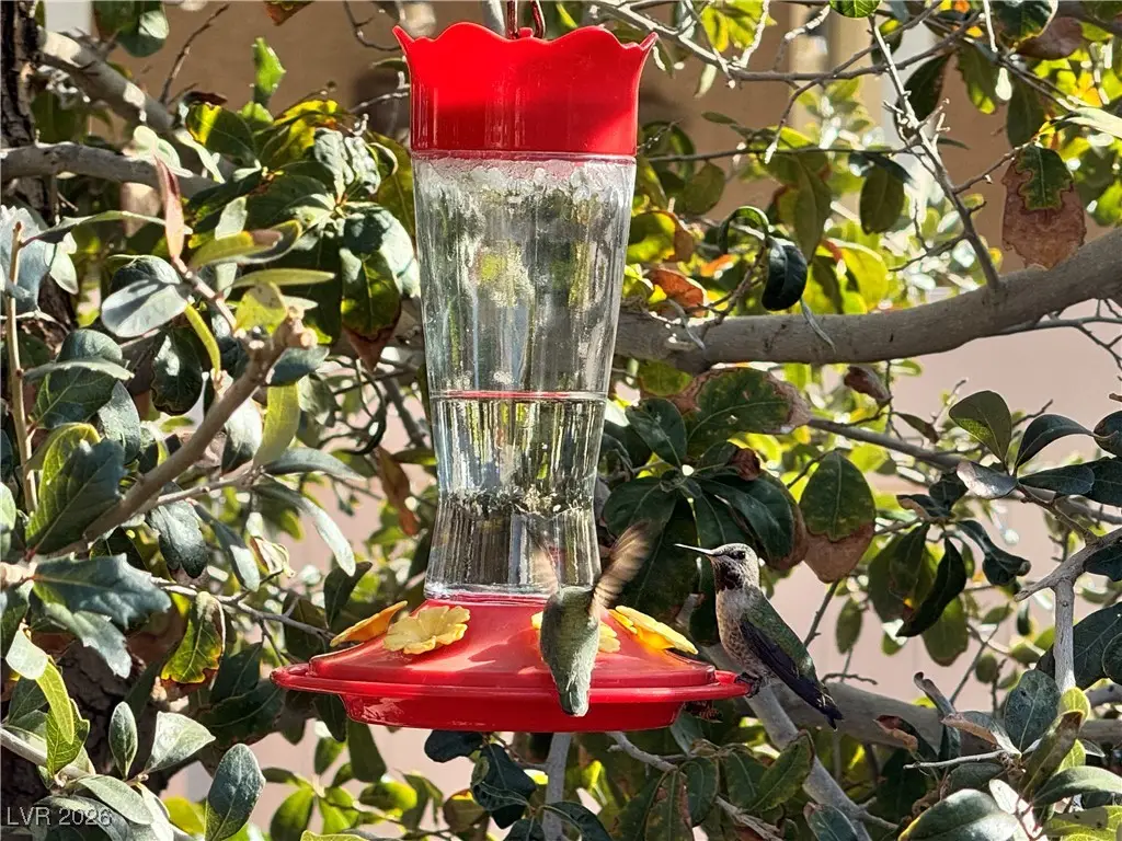 4917 Sevier Desert Street, North Las Vegas, NV 89081 - Image #1