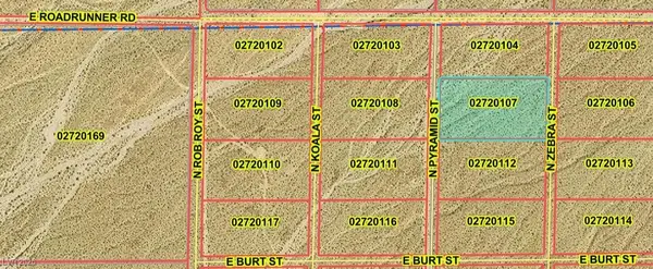 7900 North Zebra Street, Pahrump, NV 89060