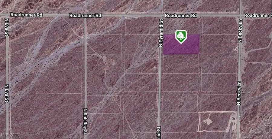 7900 North Zebra Street, Pahrump, NV 89060 - #2