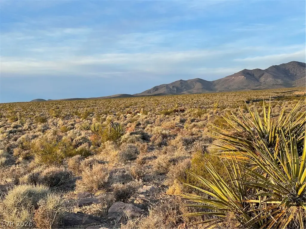 12470 N Blagg Road, Pahrump, NV 89060 - #1