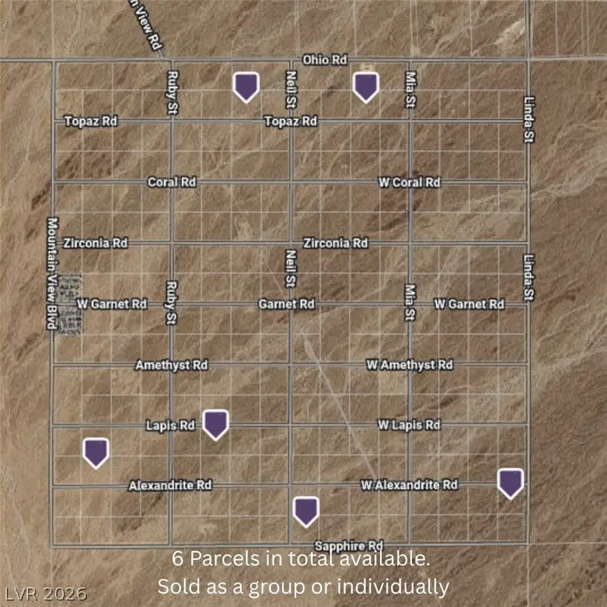 1590 W Topaz Road, Pahrump, NV 89020 - #3