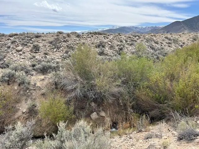 730 Chiatovich Creek Drive, Dyer, NV 89010 - #3