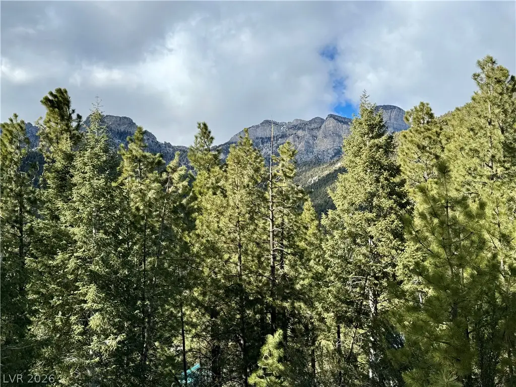 3953 Ski Trail Circle, Mount Charleston, NV 89124 - #1
