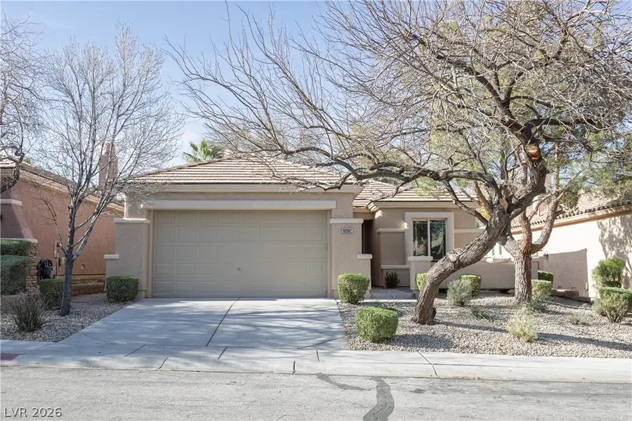 10982 Village Ridge Lane, Las Vegas, NV 89135 - #3