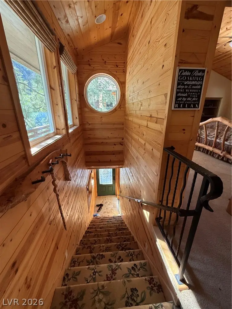 310 Echo Road, Mount Charleston, NV 89124 - #3