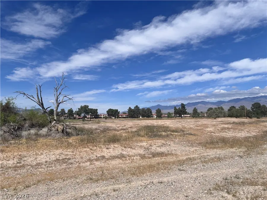 1401 S Saddle Court, Pahrump, NV 89048 - #3
