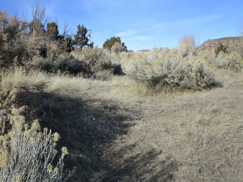 Nv Hwy 322 (30.15 Ac), Pioche, NV 89043 - #3
