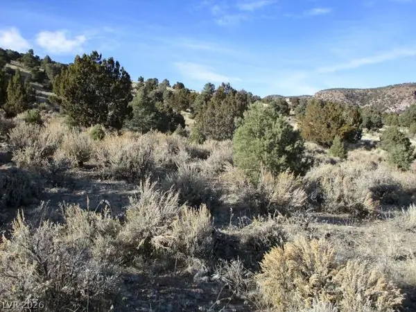 Nv Hwy 322 (10.012 Ac), Pioche, NV 89043
