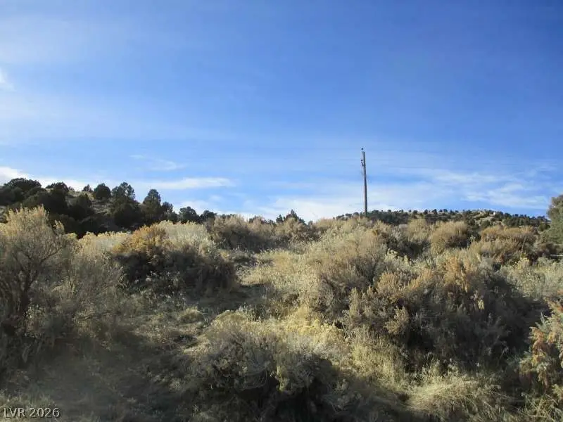 Nv Hwy 322 (2.46 Ac), Pioche, NV 89043 - #1