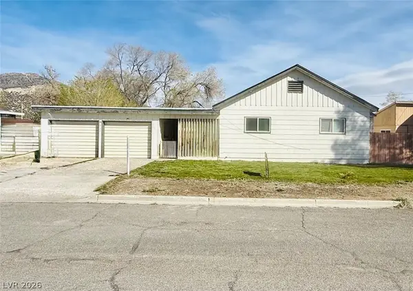 925 Avenue L, Ely, NV 89301