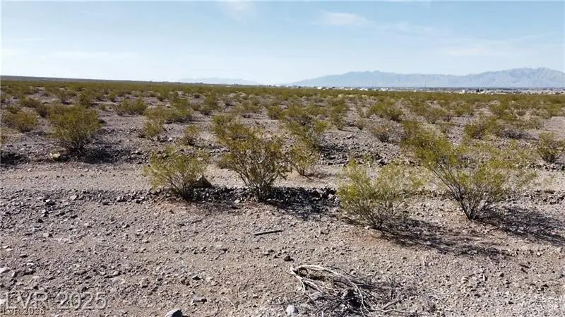 1331 E Saguaro Drive, Pahrump, NV 89060 - #2