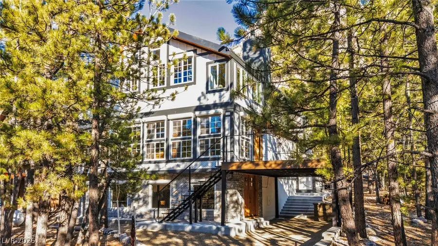 2162 Via Spes Nostra Street, Mount Charleston, NV 89124 - #3