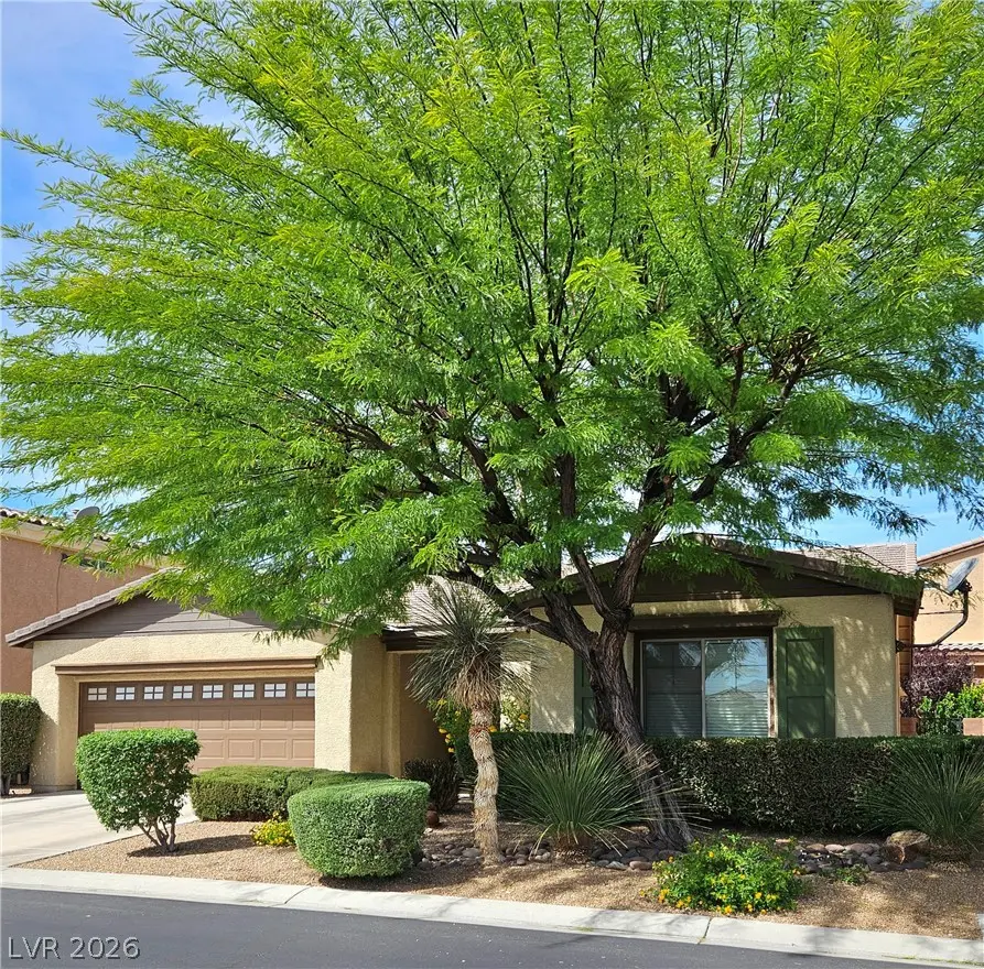 10571 Aloe Springs Street, Las Vegas, NV 89179 - #2