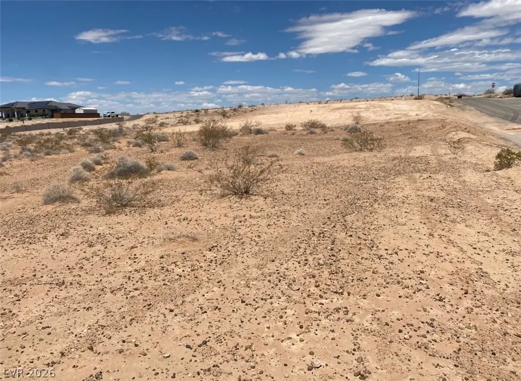 3175 Lou Street, Logandale, NV 89021 - #1