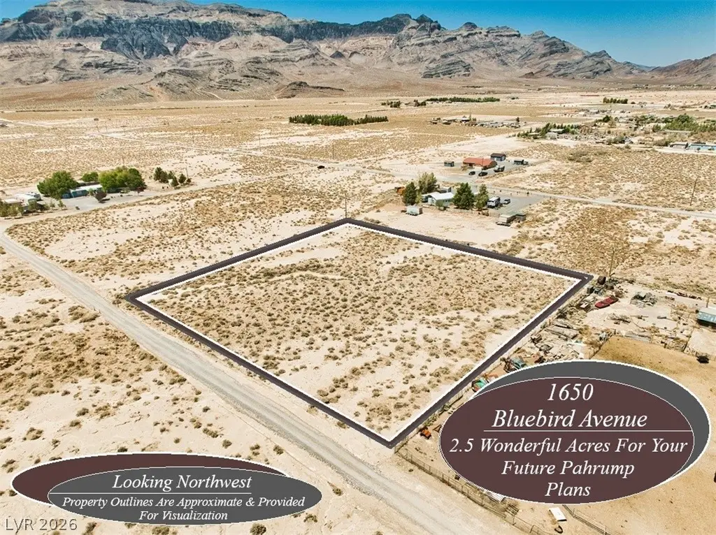 1650 W Bluebird Avenue, Pahrump, NV 89060 - #1