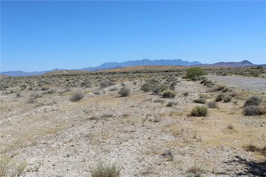10091 S Robert Road, Pahrump, NV 89048 - #3