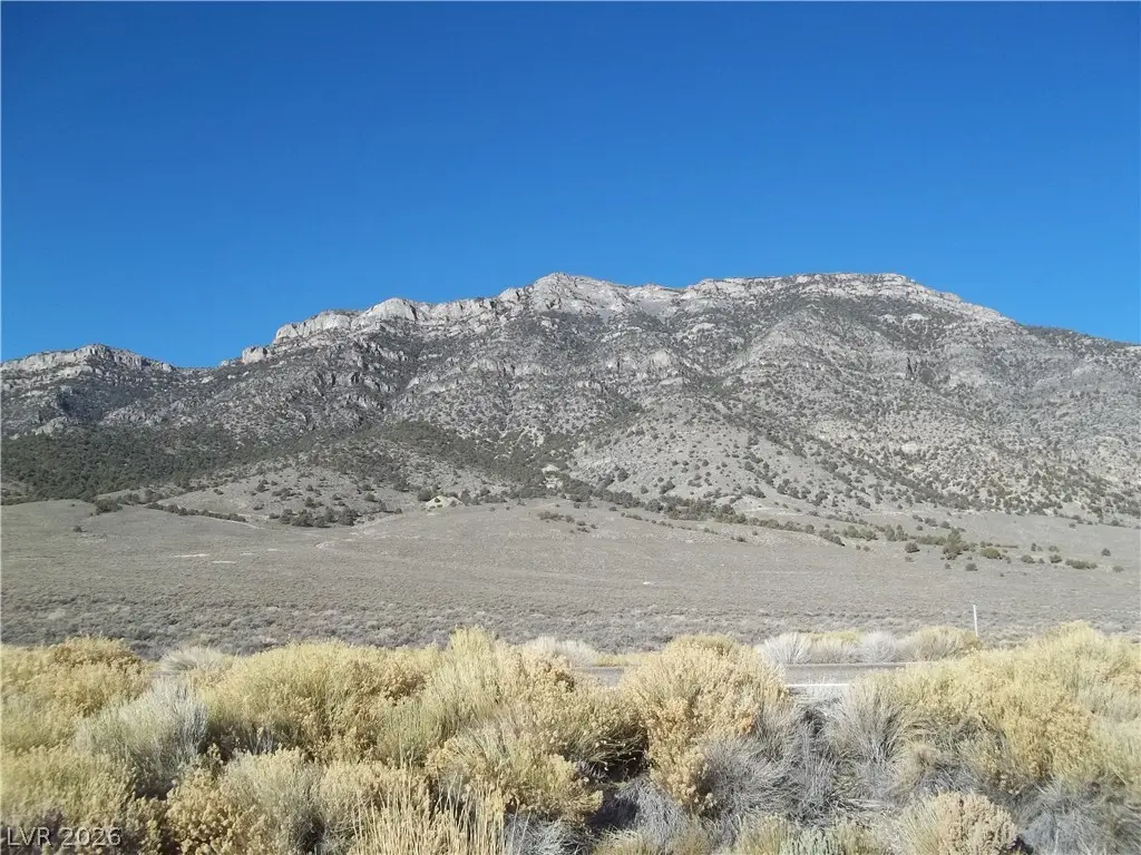 5 Acres In Newark Valley!, Ely, NV 89301 - #1