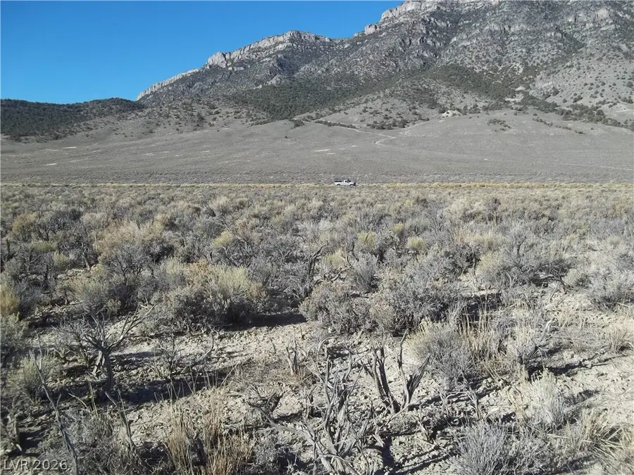 5 Acres In Newark Valley!, Ely, NV 89301 - #2