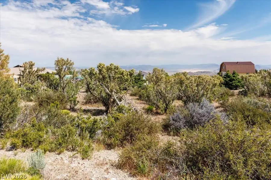 52 Birch Spring Road, Cold Creek, NV 89124 - #3