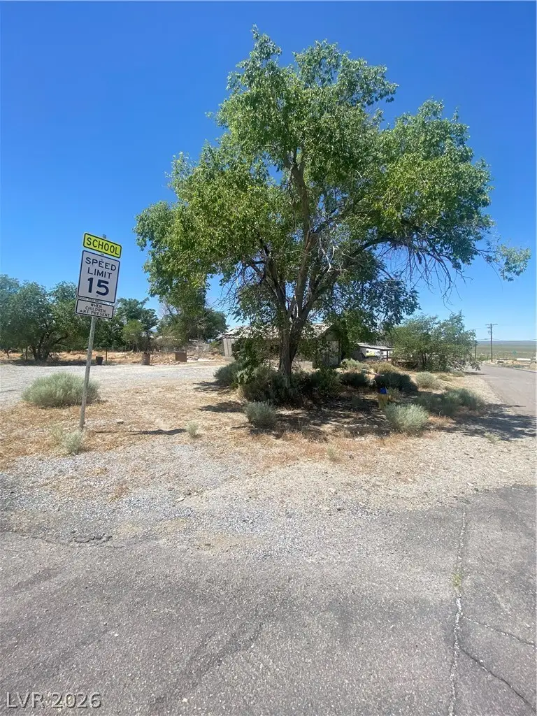 701 3rd Street, Gabbs, NV 89409 - #3