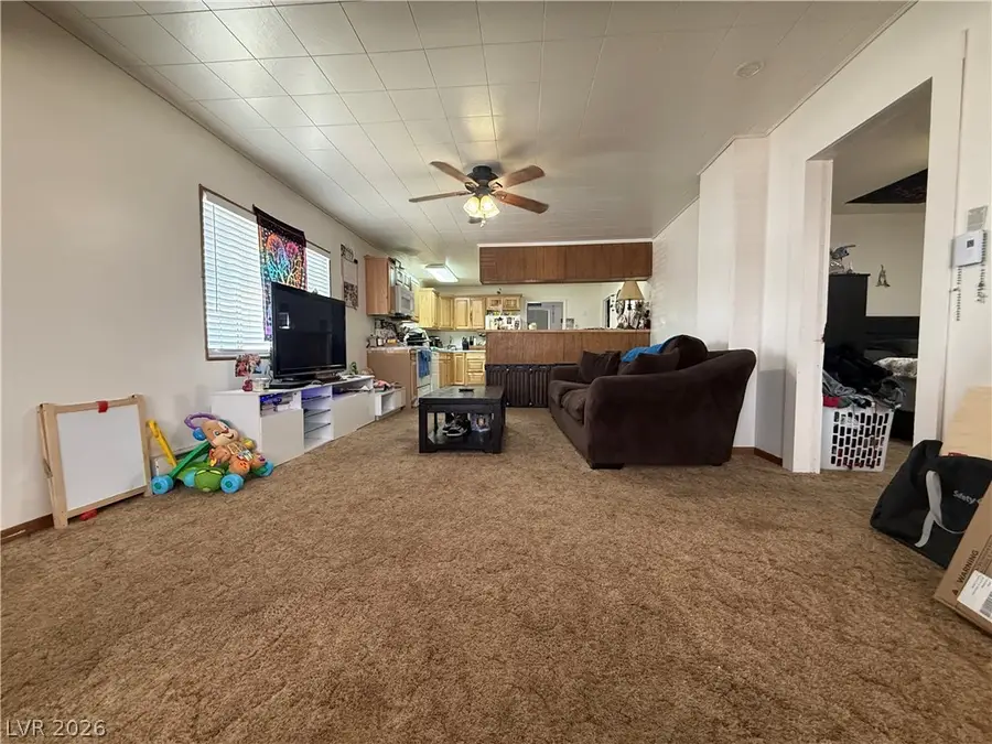 20 Avenue H, McGill, NV 89318 - #3