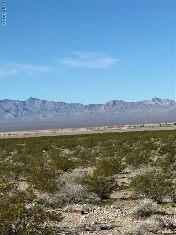 Unassigned, Sandy Valley, NV 89019