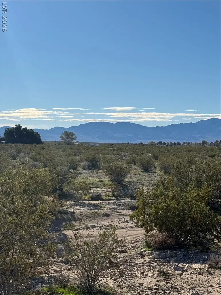 Unassigned, Sandy Valley, NV 89019 - #3