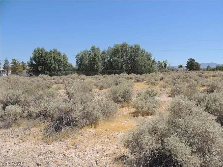 641 W Kilty Street, Pahrump, NV 89060 - #3