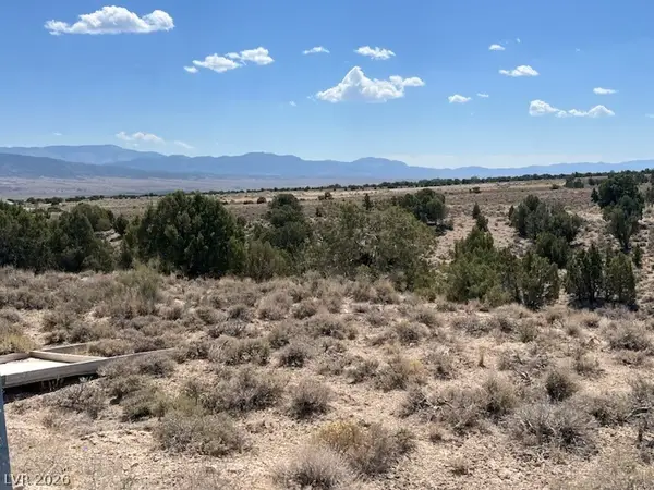 Pinyon Pine, Ely, NV 89301