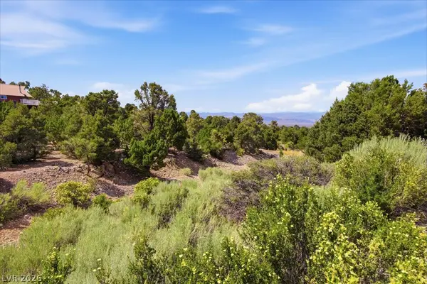 155 Oak Trail Circle, Cold Creek, NV 89124