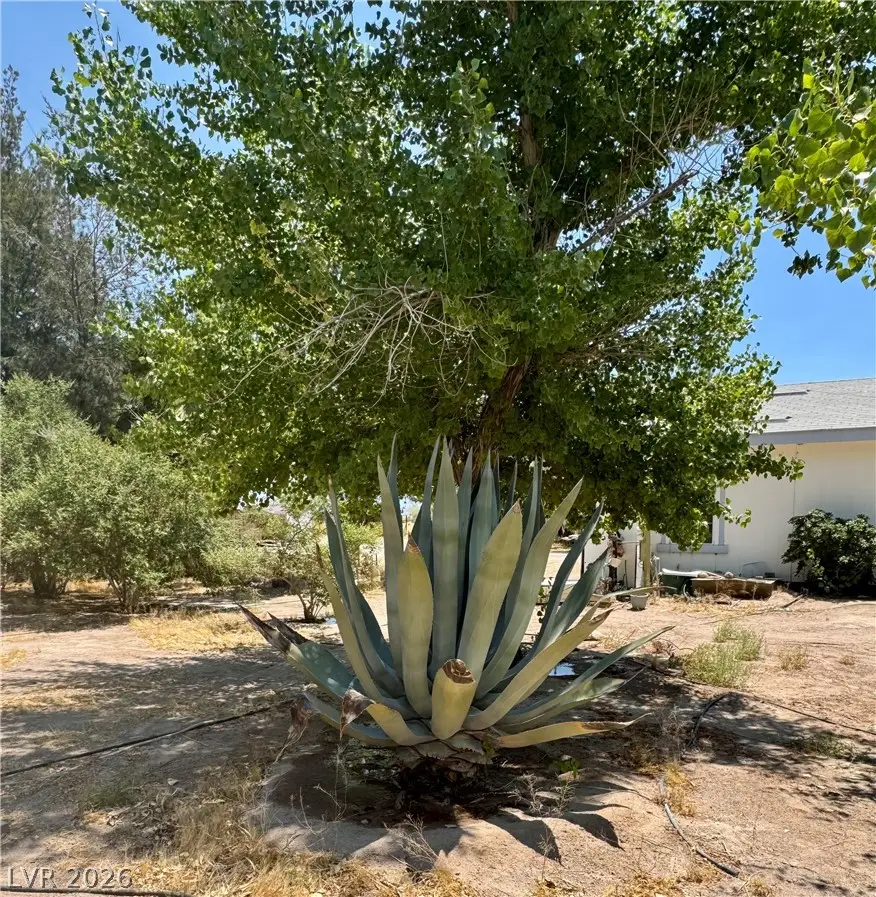 925 W Bettles Road, Amargosa Valley, NV 89020 - #3