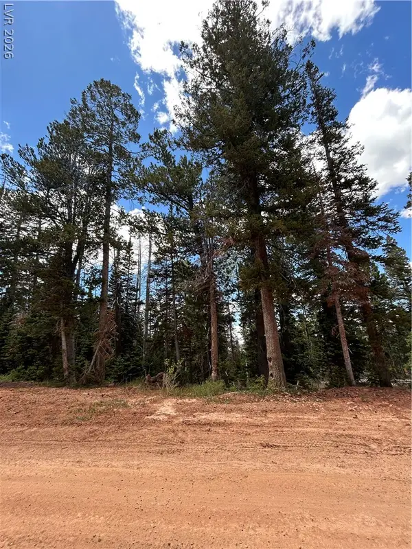 314 E Toboggan Circle, Brian Head, UT 84719